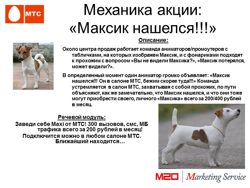 Механика акции:  «Максик нашелся!!!» Описание:  Около центра продаж работает команда аниматоров/промоутеров с